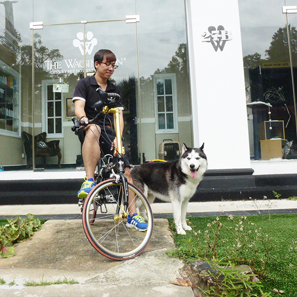 Thumb02-Exercise-Bicycle