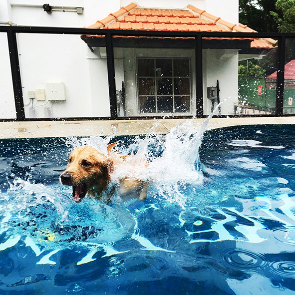 Thumb02-Exercise-Swim
