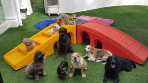 Daycare-Main-Picture