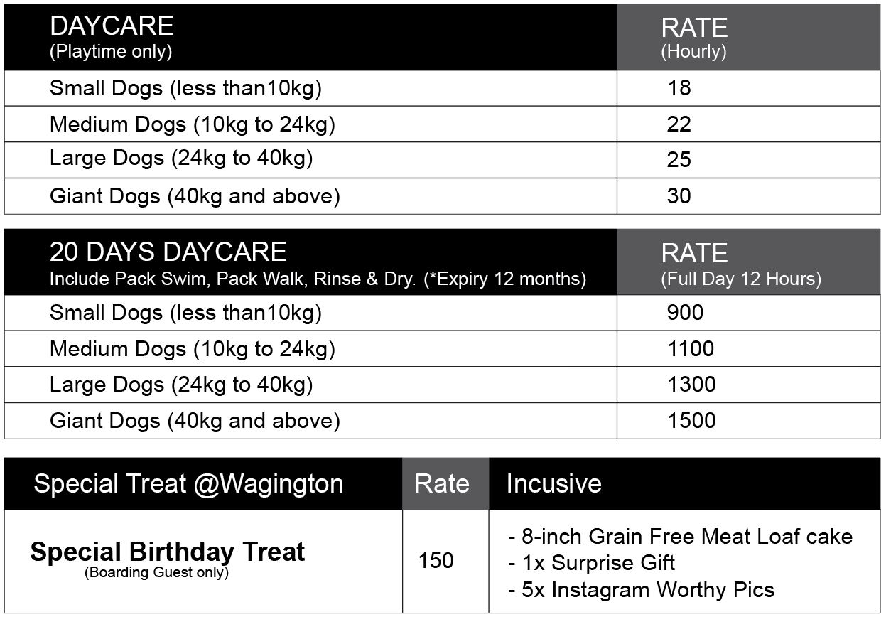 Daycare rates
